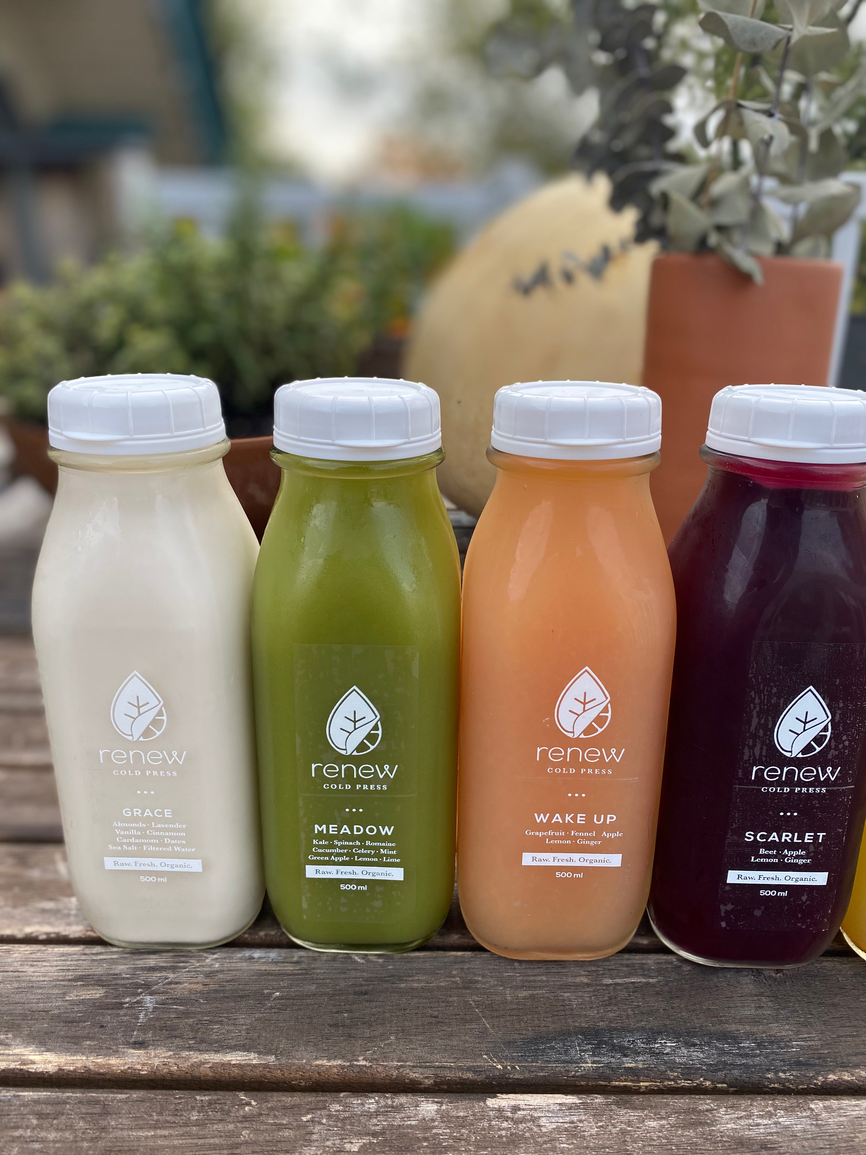 BONE BROTH + JUICE CLEANSE 1 day LOLLO To Go